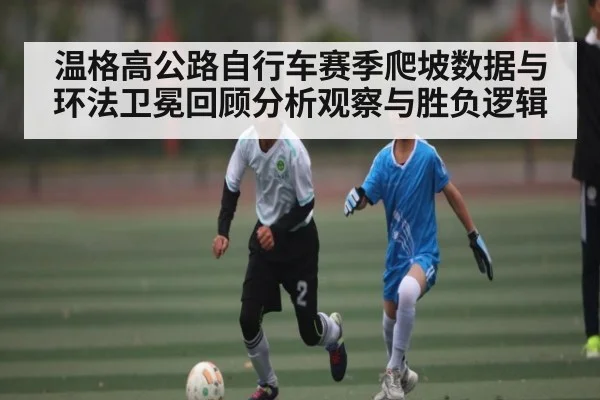 温格高公路自行车赛季爬坡数据与环法卫冕回顾分析观察与胜负逻辑
